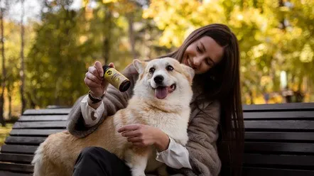 Регенерация суставной ткани собаки: новый подход к лечению