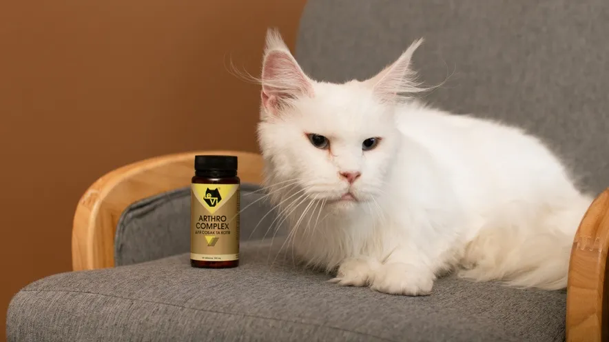 Когда следует начинать давать кошке добавки для суставов?