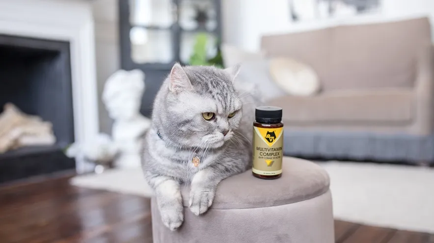 Какие витамины нужны для шерсти кошек?