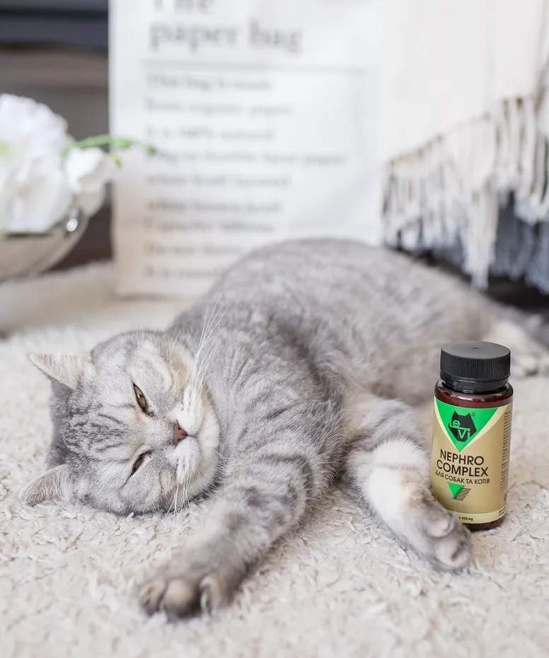 Что улучшает функцию почек у кошек?