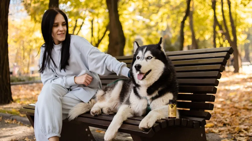 Как часто нужно гулять с собакой?