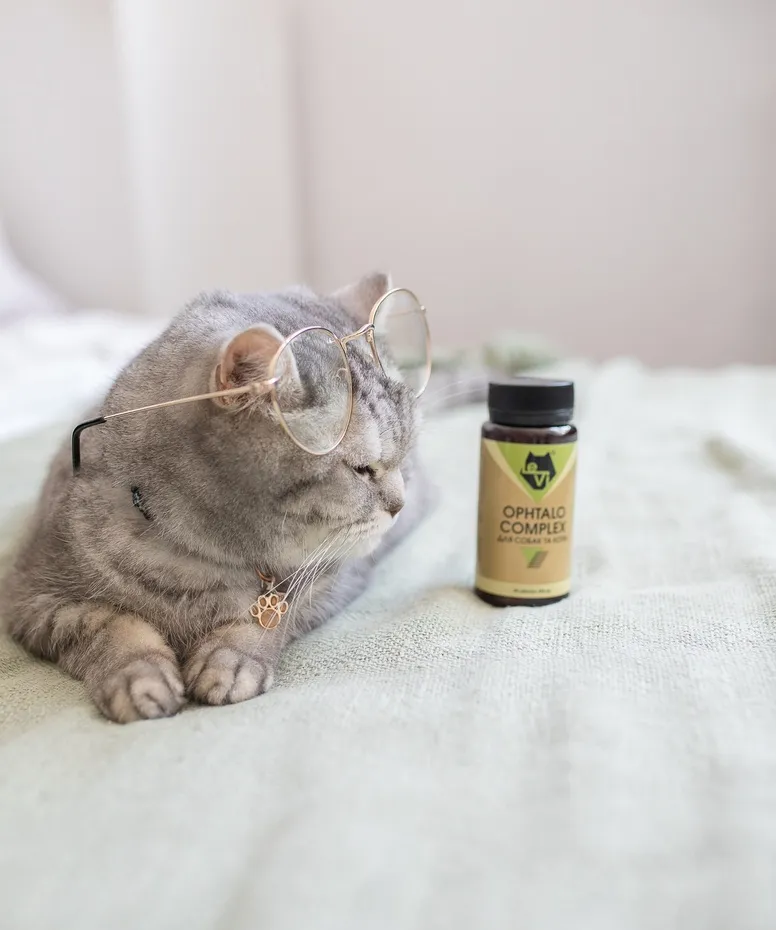 Почему у кошек появляется пелена на глазах?