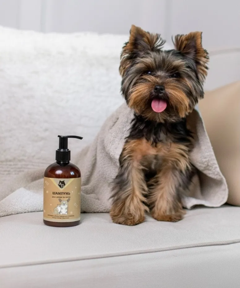 В чем разница между шампунем для собак и шампунем для людей?