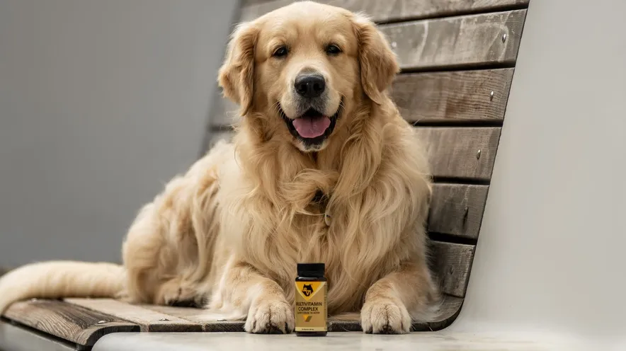 Нужно ли давать собаке витамины?