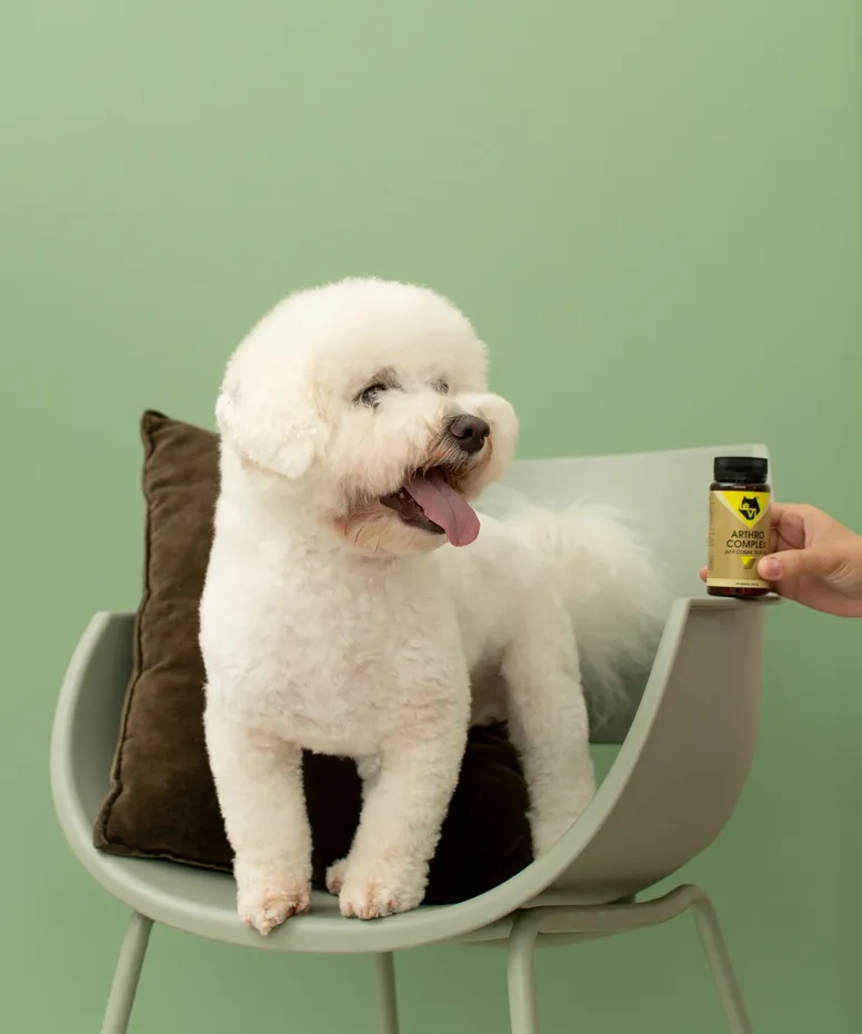 Який натуральний протизапальний засіб підходить собакам, що страждають на артрит?