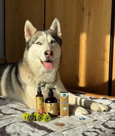 Review LeVi